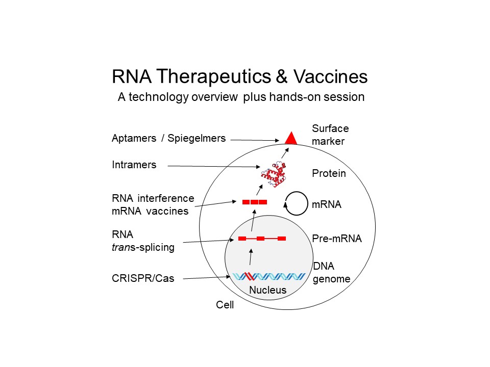 RNA Therapeutics and Vaccines